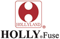 Hollyland Electronic Technology