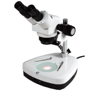 Stereomikroskooppi 10x-40x