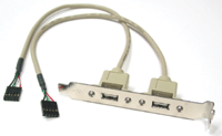 USB-liitinlevy 2-porttia *